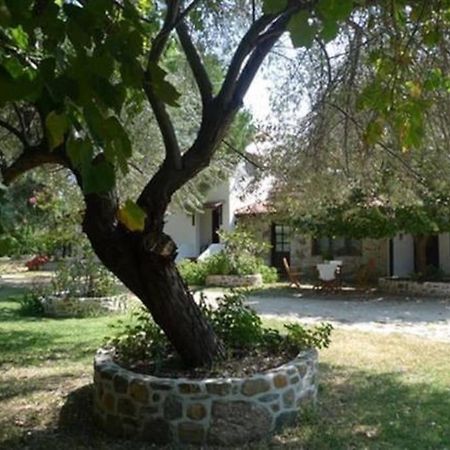 Traditionelles Appartement Athos Shadow Am Meer Paralia Sikias 외부 사진