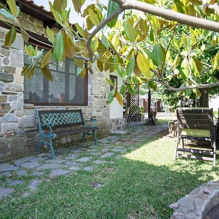 Traditionelles Appartement Athos Shadow Am Meer Paralia Sikias 외부 사진