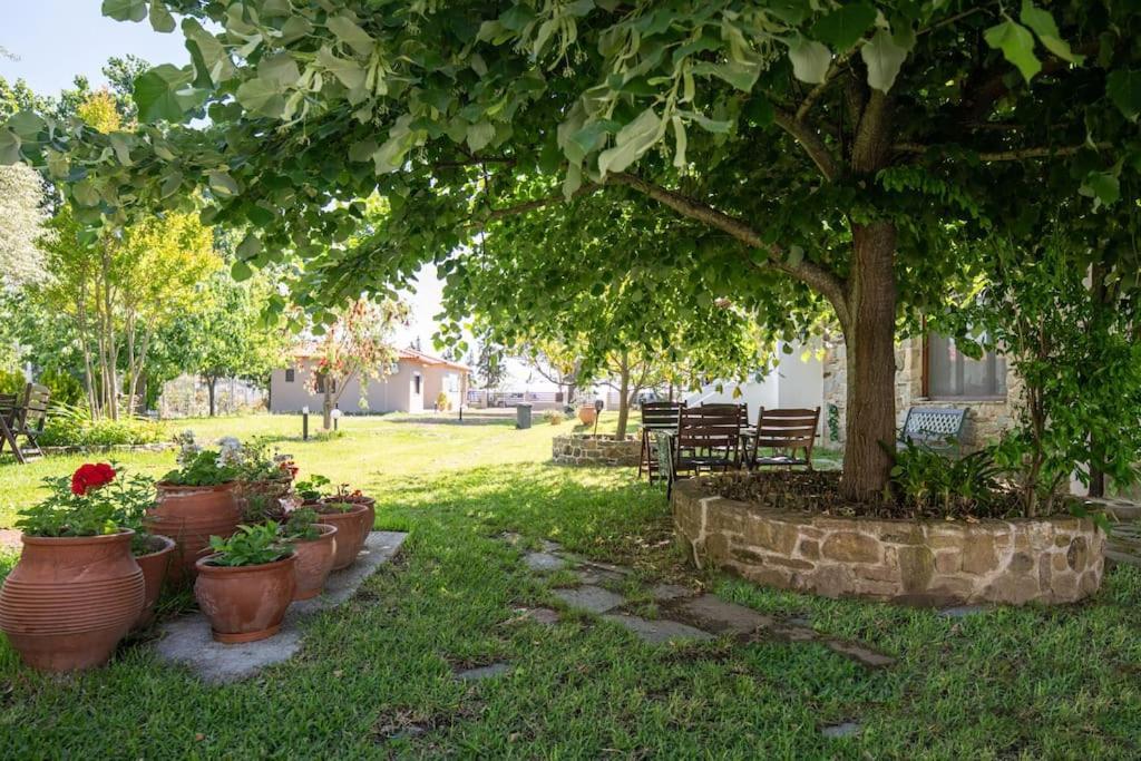 Traditionelles Appartement Athos Shadow Am Meer Paralia Sikias 외부 사진