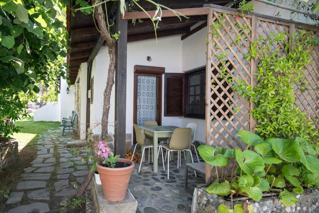 Traditionelles Appartement Athos Shadow Am Meer Paralia Sikias 외부 사진