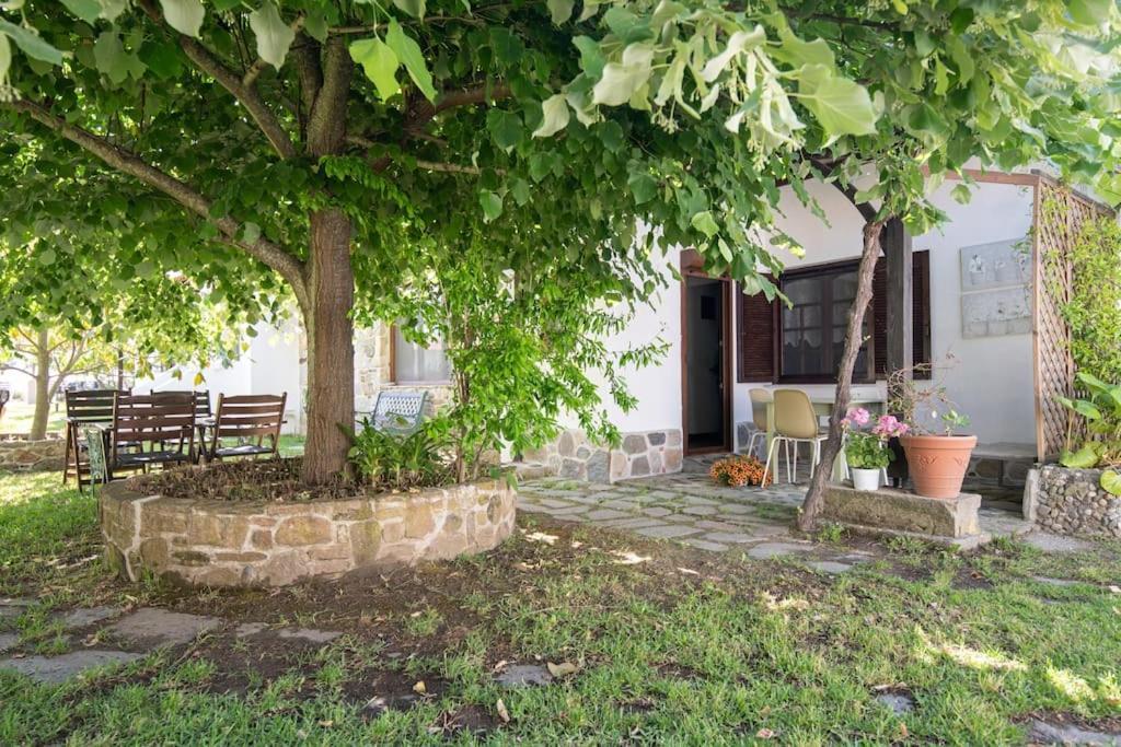 Traditionelles Appartement Athos Shadow Am Meer Paralia Sikias 외부 사진