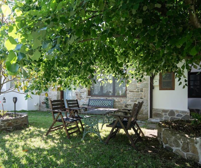 Traditionelles Appartement Athos Shadow Am Meer Paralia Sikias 외부 사진
