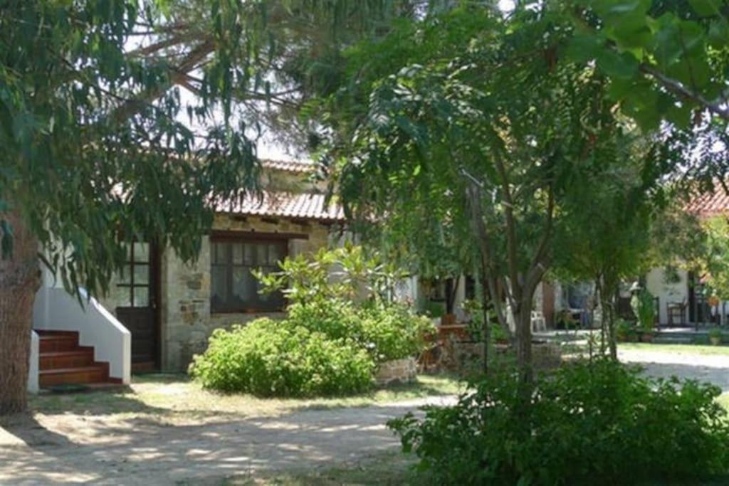 Traditionelles Appartement Athos Shadow Am Meer Paralia Sikias 외부 사진