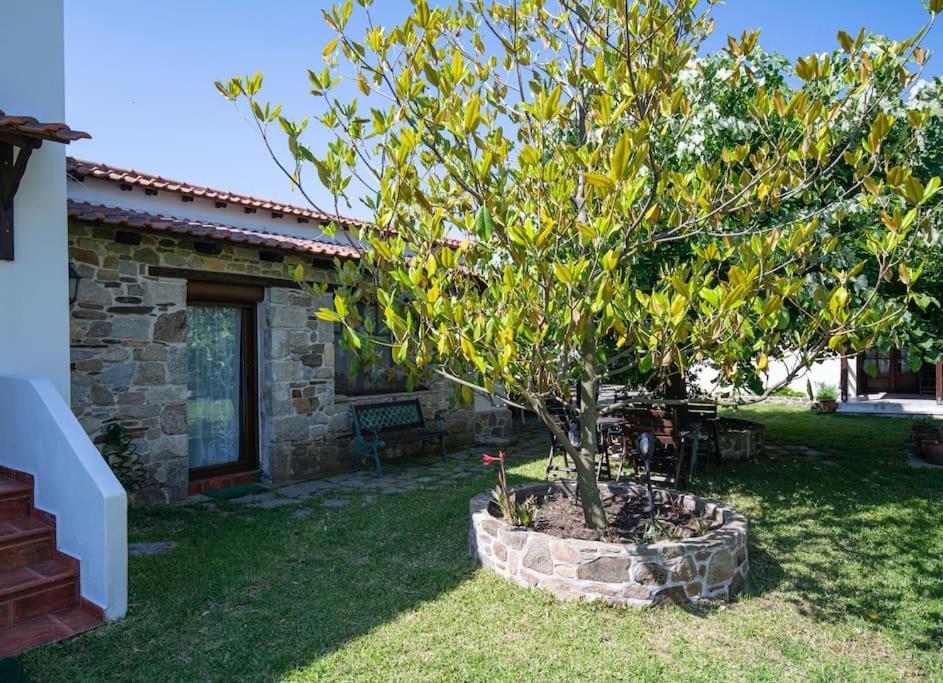 Traditionelles Appartement Athos Shadow Am Meer Paralia Sikias 외부 사진