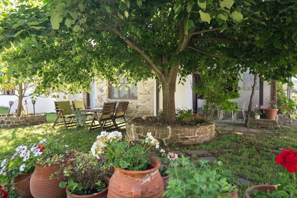Traditionelles Appartement Athos Shadow Am Meer Paralia Sikias 외부 사진