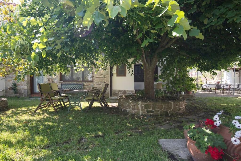 Traditionelles Appartement Athos Shadow Am Meer Paralia Sikias 외부 사진
