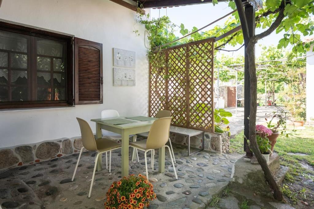 Traditionelles Appartement Athos Shadow Am Meer Paralia Sikias 외부 사진