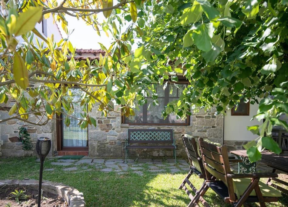 Traditionelles Appartement Athos Shadow Am Meer Paralia Sikias 외부 사진